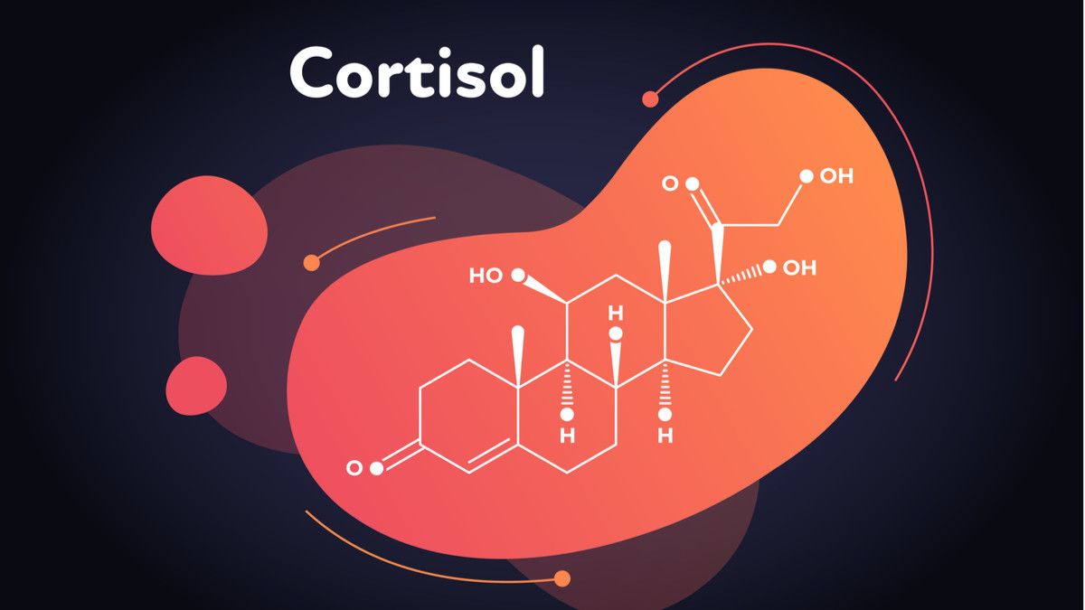 Kortisol Hormon Tekanan